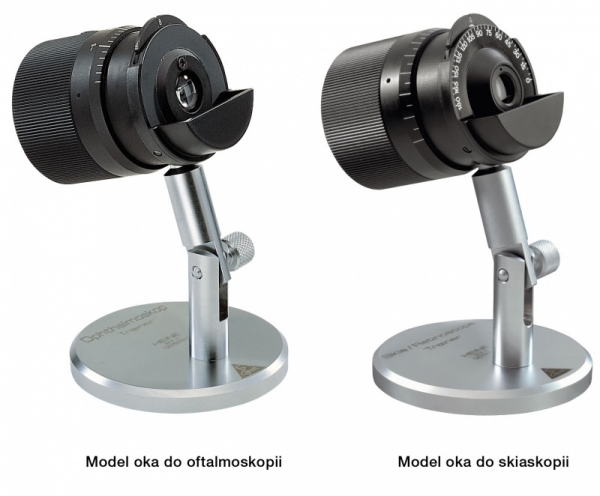 Modele oka do nauki