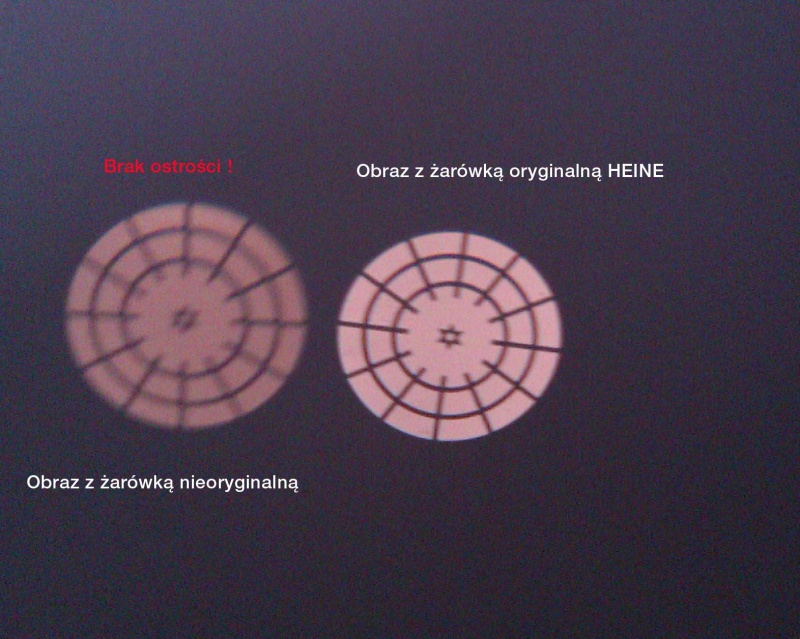 Żarówki